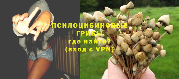 первитин Покачи